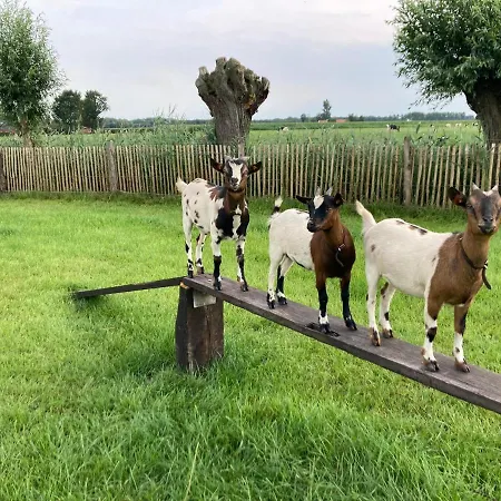 De Burkelhoeve App.A Maldegem Exterior foto