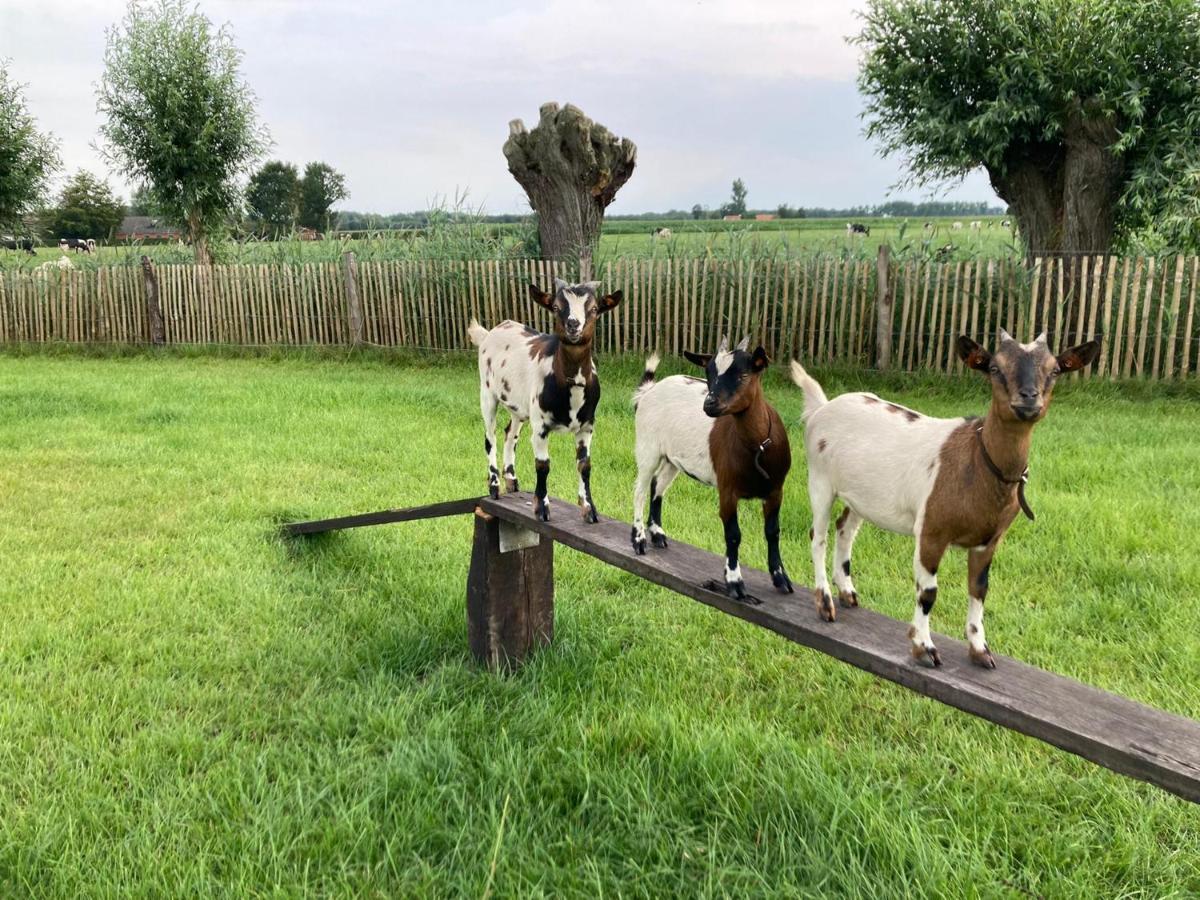 Apartamento De Burkelhoeve App.a